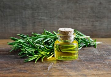 Découvrez les avantages du romarin