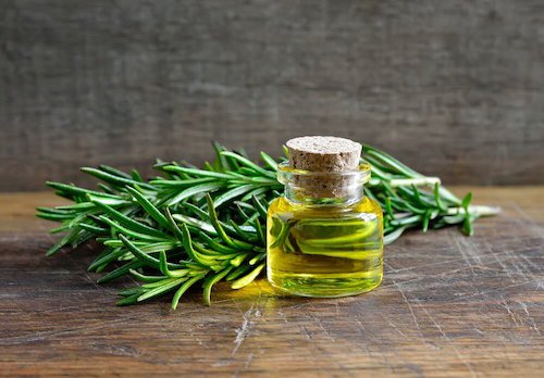 le romarin est une épice brûle-graisses