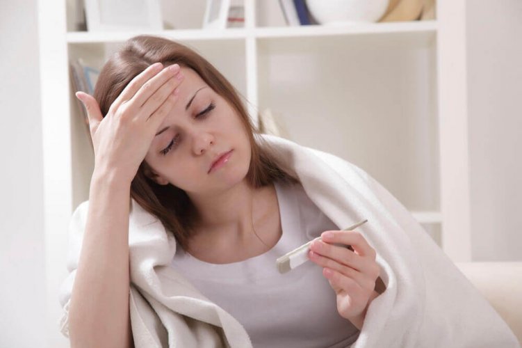 Propriétés et bienfaits du thym et de la camomille pour votre santé