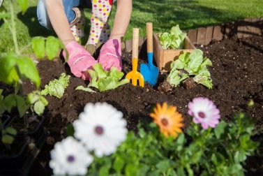 7 façons d'utiliser le vinaigre blanc dans le jardin
