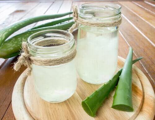L'aloe vera pour combattre le psoriasis.