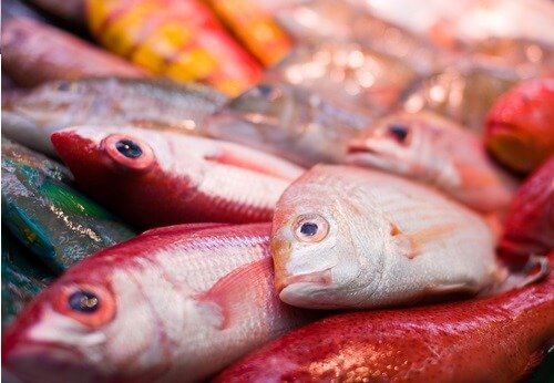 lien entre autisme et poisson contaminé au mercure