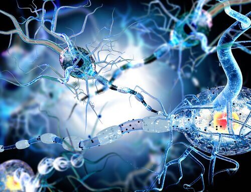 remèdes naturels contre l'épilepsie