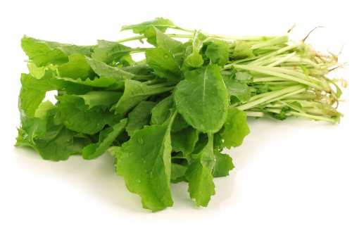 herbes aromatiques