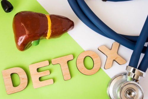 Tout ce que vous devez savoir sur le régime de désintoxication du foie