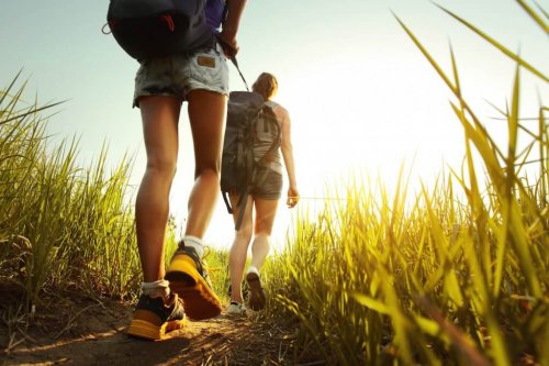 la randonnée fait partie des exercices cardio simples