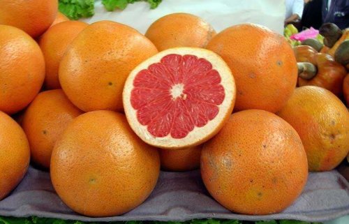 fruits recommandés pour l'alimentation : pomelos