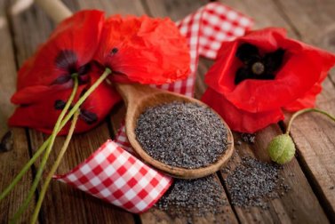 Graines de pavot : découvrez ses 5 bienfaits sur la santé