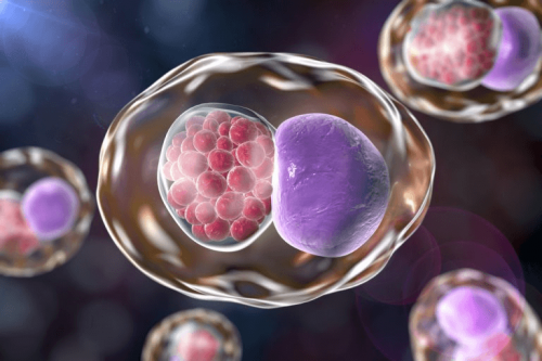 chlamydia