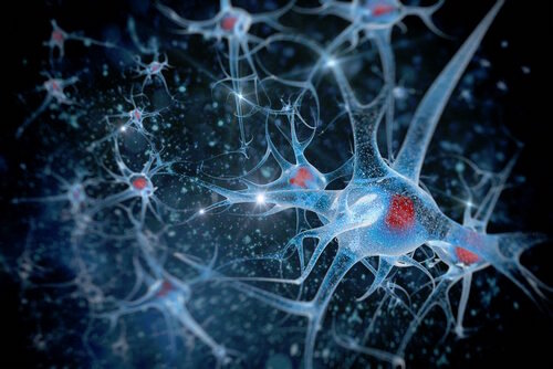 une mère après 40 ans présente davantage de capacités mentales