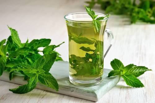 La menthe est parfaite pour réduire les vertiges.