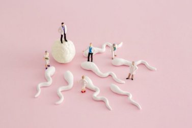 Pouvez-vous tomber enceinte d'un seul ovaire ?