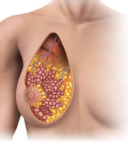 Astuces pour faire monter le lait après une césarienne.