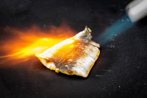 du poisson