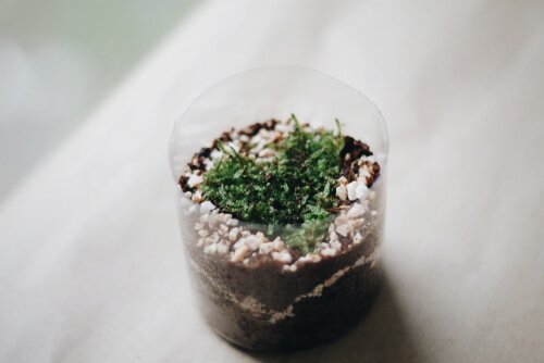 Apprenez à réaliser des pots pour les plantes avec des bouteilles en plastique