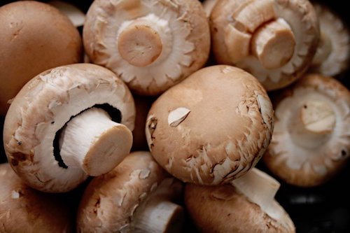 crème champignons