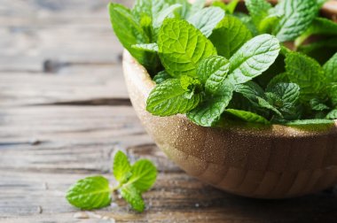 4 recettes délicieuses avec de la menthe