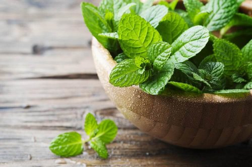 4 recettes délicieuses avec de la menthe