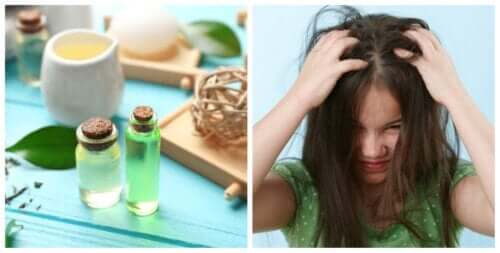 4 remèdes à base de vinaigre pour éliminer naturellement les poux