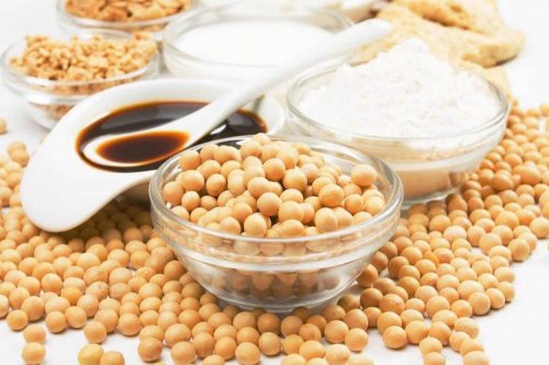 Le soja est riche en fer