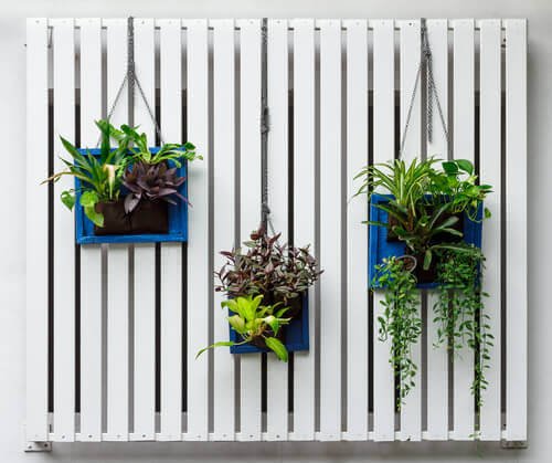 transformer un mur en jardin vertical