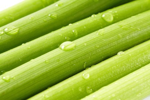 il ne faut pas consommer de céleri pendant la grossesse à cause des substances emménagogues