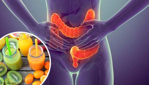 Aliments qui nettoient le côlon