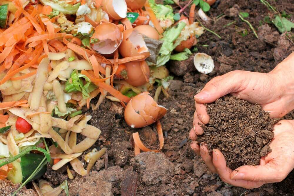 5 façons de faire de l’engrais organique
