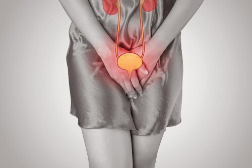 Le boldo est efficace contre les maladies urinaires