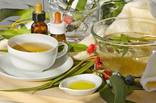 L'eucalyptus possède des propriétés expectorantes