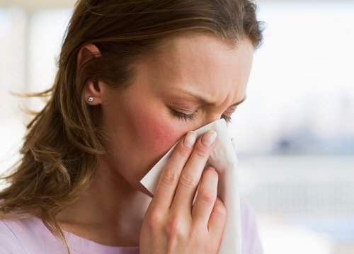 Le petit-déjeuner renforce le système immunitaire