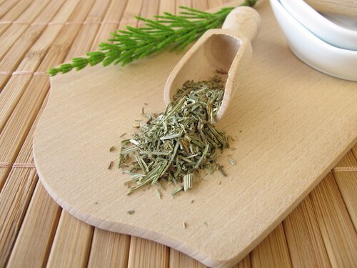 la prêle des champs pour lutter contre l'incontinence urinaire