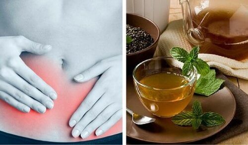 Un thé à base de boldo est efficace contre les maladies urinaires