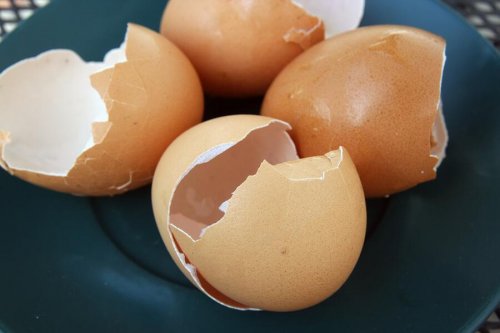 6 utilisations possibles des coquilles d'oeuf chez soi