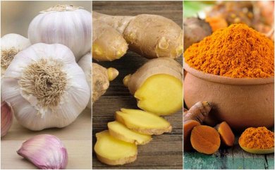 6 antibiotiques naturels contre les infections légères