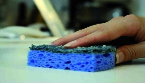 les éponges accumulent des millions de bactéries