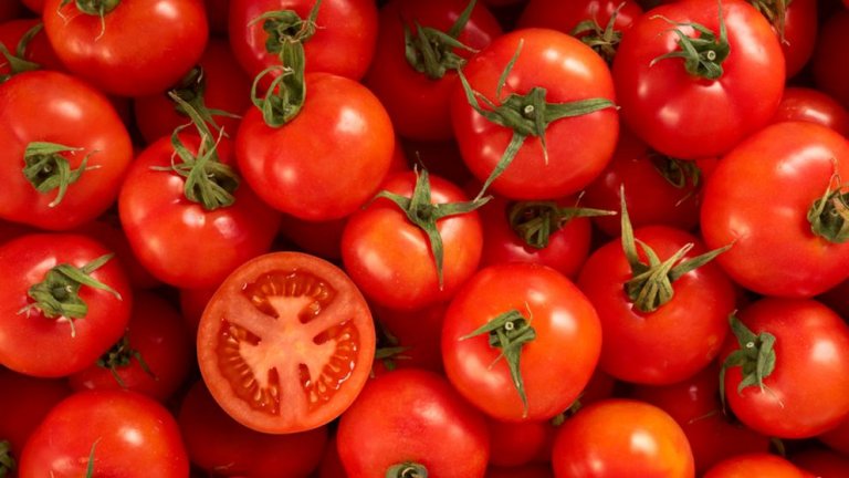Comment faire pousser des tomates à l'infini avec seulement 4 tranches