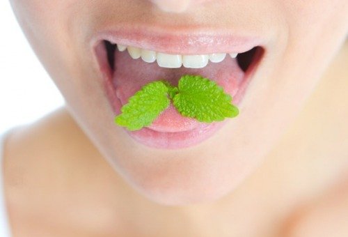Remèdes naturels pour lutter contre la mauvaise haleine