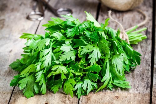 5 lotions aux herbes pour lutter efficacement contre les pellicules