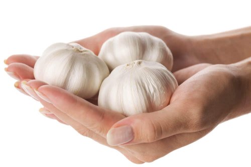 recette d'huile d'ail
