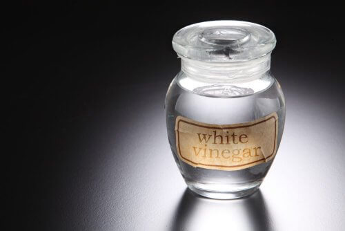 le vinaigre blanc contre les mouches blanches