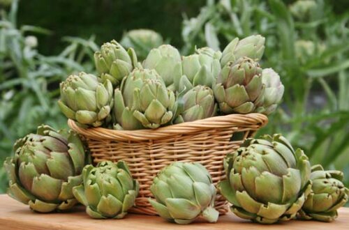 Panier d'artichauts