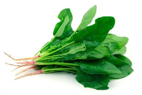 les légumes verts pour prendre soin de sa vue