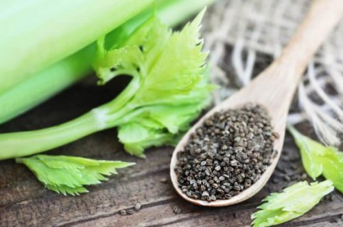 Les graines de céleri : un remède naturel contre l'hypertension