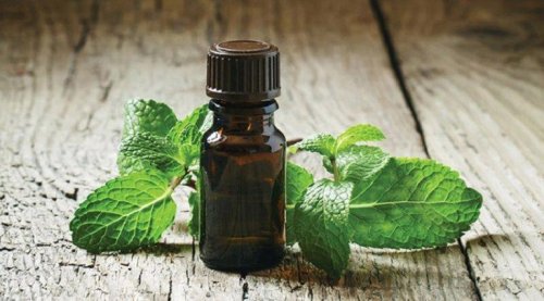 l'huile de menthe contre les abcès dentaires