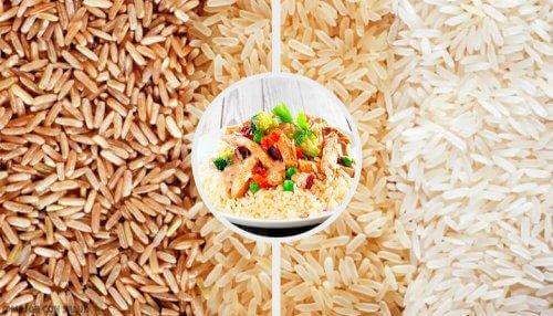 Riz, légumes et graines de chia : des aliments faibles en calories et en cholestérol