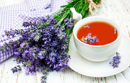 dites adieu au stress grâce à cette tisane de lavande