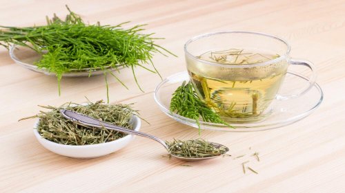 tisane de prêle des champs