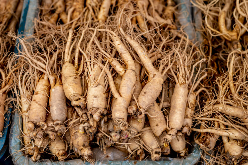 Las 8 mejores especias para quemar grasa TodoSALUD