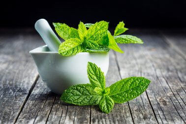 La menthe pour combattre les vomissements